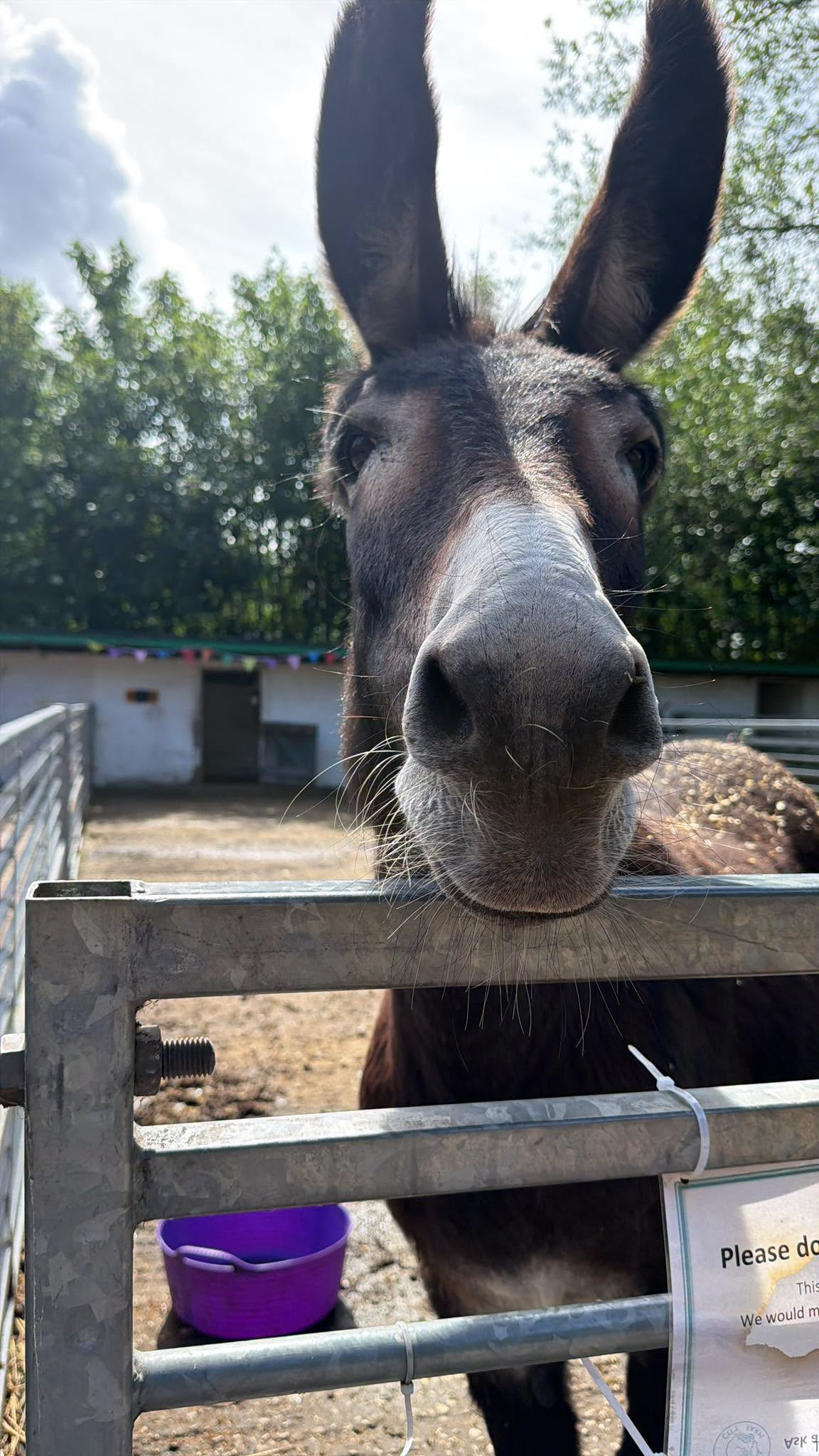 Guinness says hello!