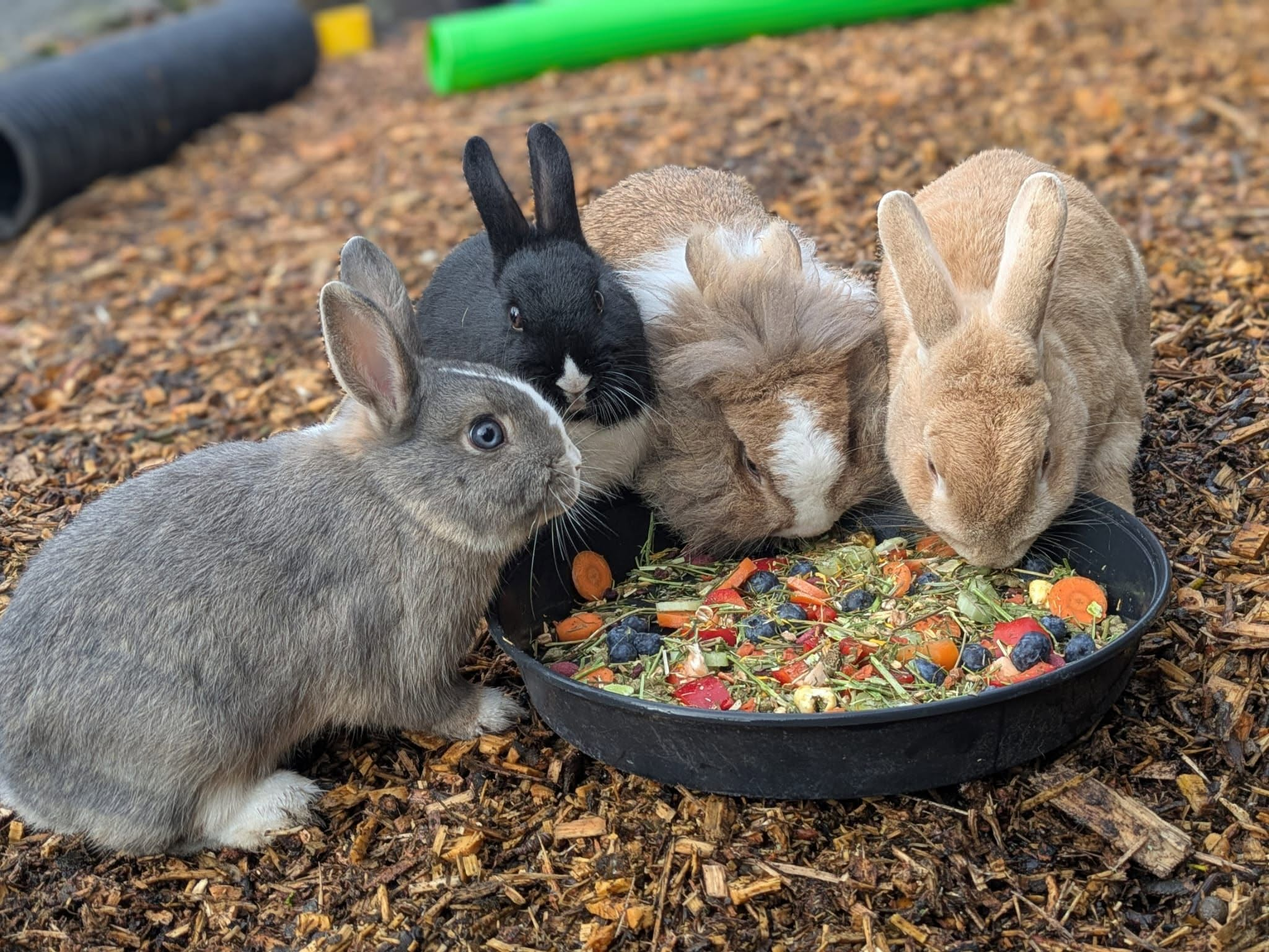 Snack time!